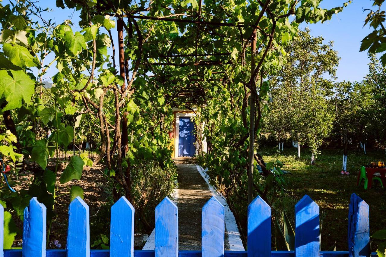 Villa Doreta Roda  Exterior photo